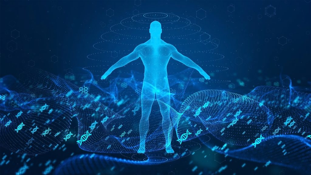 Wholistic illustration of the human body.
